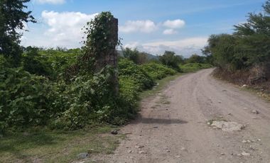 Terreno - Los Guajes, Xoxocotla, Morelos.