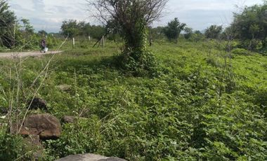 Terreno - Los Guajes, Xoxocotla, Morelos.