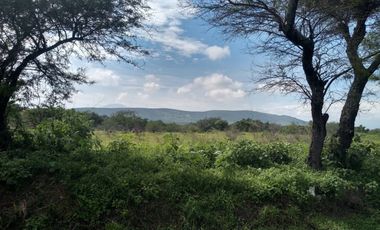 Terreno - Los Guajes, Xoxocotla, Morelos.