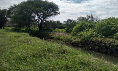 Terreno - Los Guajes, Xoxocotla, Morelos.