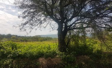 Terreno - Los Guajes, Xoxocotla, Morelos.