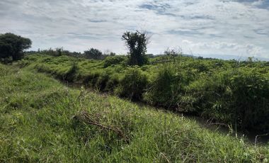 Terreno - Los Guajes, Xoxocotla, Morelos.