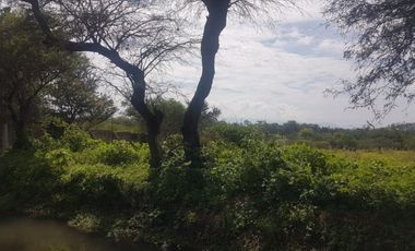 Terreno - Los Guajes, Xoxocotla, Morelos.