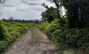Terreno - Los Guajes, Xoxocotla, Morelos.
