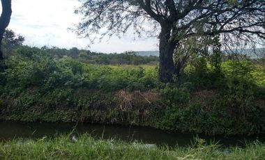 Terreno - Los Guajes, Xoxocotla, Morelos.