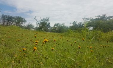 Terreno - Los Guajes, Xoxocotla, Morelos.