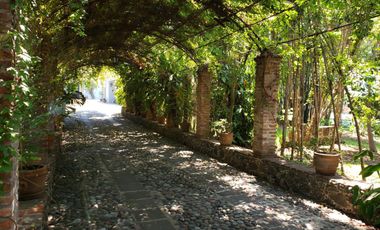 Casa en Fraccionamiento Las Fincas