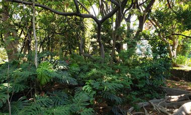 Casa en Fraccionamiento Las Fincas