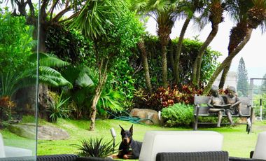 Casa en Los Volcanes