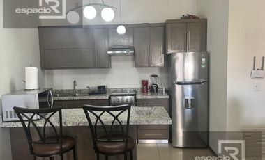 DEPARTAMENTO EJECUTIVO EN RENTA COL CORDILLERAS