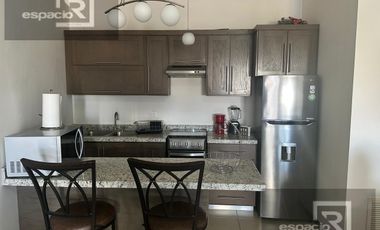 DEPARTAMENTO EJECUTIVO EN RENTA COL CORDILLERAS