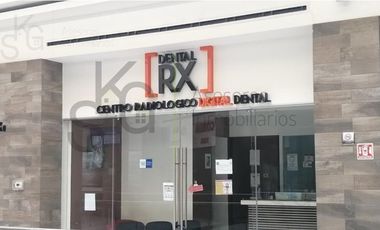 Renta de Local en Toluca