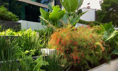 Espectacular departamento, 3 recámaras, alberca, gimnasio, a 2 cuadras del club de golf