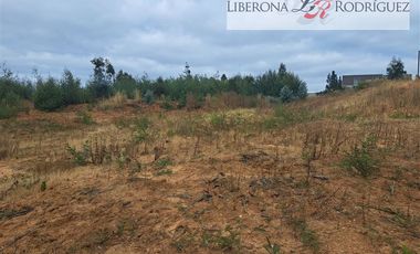 Sitio en Venta en Sitio en Placilla Oriente