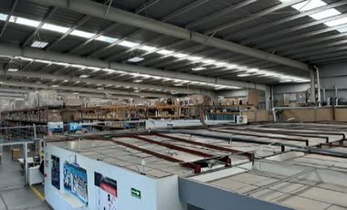 BODEGA TOLUCA DE LERDO, SANTA ANA SUP. 3,258 m2