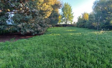 Vendo hermosa Parcela de Agrado 5000 mt, con amplia Casa.