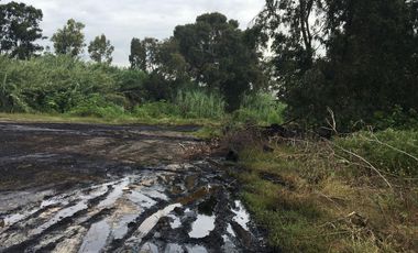 Terreno - Pueblo Chipilo de Francisco Javier Mina