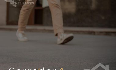 Distrito Teatro Edificio Comercial