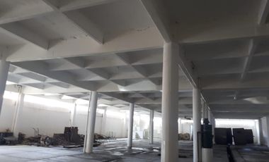 Bodega Industrial o Comercial, Toluca Centro