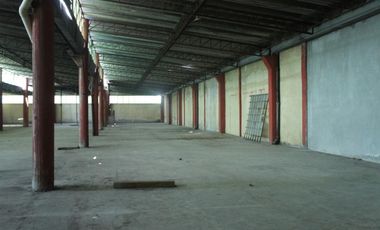 Bodega Industrial o Comercial, Toluca Centro