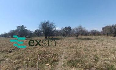 Terreno en Barrio Cuarto