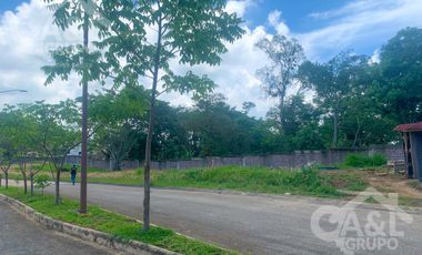 Lotes en Venta Fraccionamiento Privado Coatepec Trancas