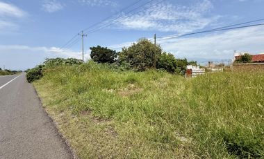 Terreno con vista al lago de Chapala, San Nicolás de Acuña, 1,000 M2