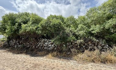 Terreno con vista al lago de Chapala, San Nicolás de Acuña, 1,000 M2