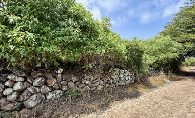 Terreno con vista al lago de Chapala, San Nicolás de Acuña, 1,000 M2