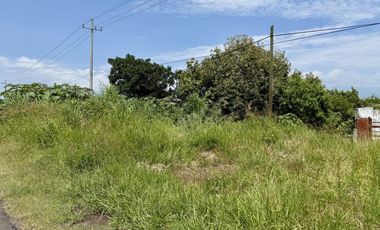 Terreno con vista al lago de Chapala, San Nicolás de Acuña, 1,000 M2