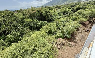 Terreno con vista al lago de Chapala, San Nicolás de Acuña, 897 M2
