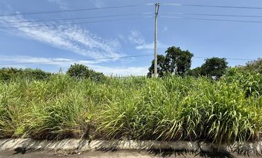 Terreno con vista al lago de Chapala, San Nicolás de Acuña, 897 M2