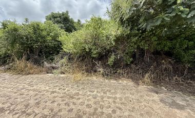 Terreno con vista al lago de Chapala, San Nicolás de Acuña, 897 M2