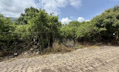 Terreno con vista al lago de Chapala, San Nicolás de Acuña, 897 M2