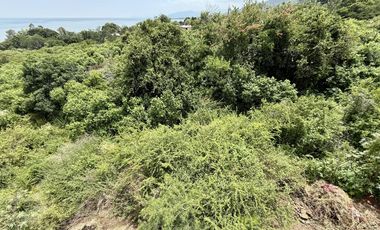 Terreno con vista al lago de Chapala, San Nicolás de Acuña, 897 M2