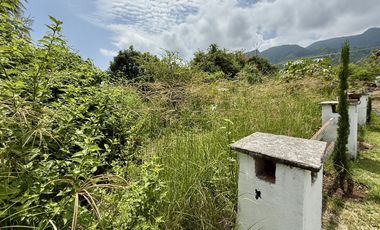 Terreno con vista al lago de Chapala, San Nicolás de Acuña, 897 M2