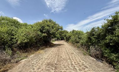 Terreno con vista al lago de Chapala, San Nicolás de Acuña, 897 M2