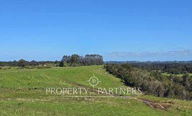 Oportunidad de inversión. Precioso proyecto con orilla de rio a minutos de Puerto Varas