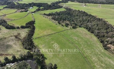 Oportunidad de inversión. Precioso proyecto con orilla de rio a minutos de Puerto Varas