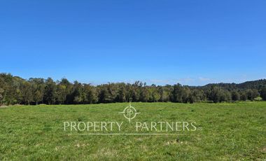 Oportunidad de inversión. Precioso proyecto con orilla de rio a minutos de Puerto Varas