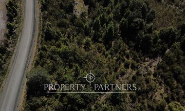 Se venden terrenos de una hectárea con entorno natural y excelente conectividad – Los Muermos