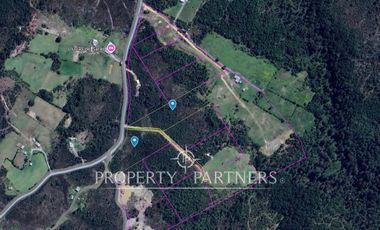 Se venden terrenos de una hectárea con entorno natural y excelente conectividad – Los Muermos