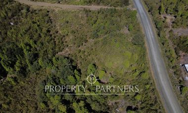 Se venden terrenos de una hectárea con entorno natural y excelente conectividad – Los Muermos