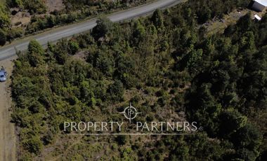 Se venden terrenos de una hectárea con entorno natural y excelente conectividad – Los Muermos