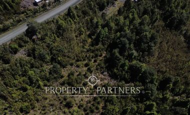 Se venden terrenos de una hectárea con entorno natural y excelente conectividad – Los Muermos