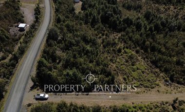 Se venden terrenos de una hectárea con entorno natural y excelente conectividad – Los Muermos