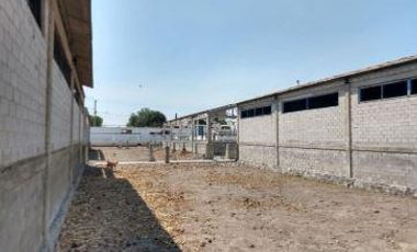 Terreno en Ejido Veracrucito