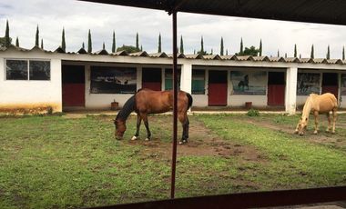 Terreno - Pueblo Chipilo de Francisco Javier Mina
