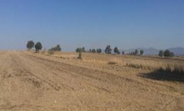 Terreno - San José Chiapa