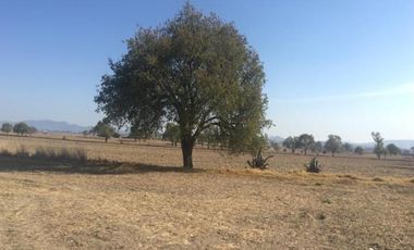 Terreno - San José Chiapa